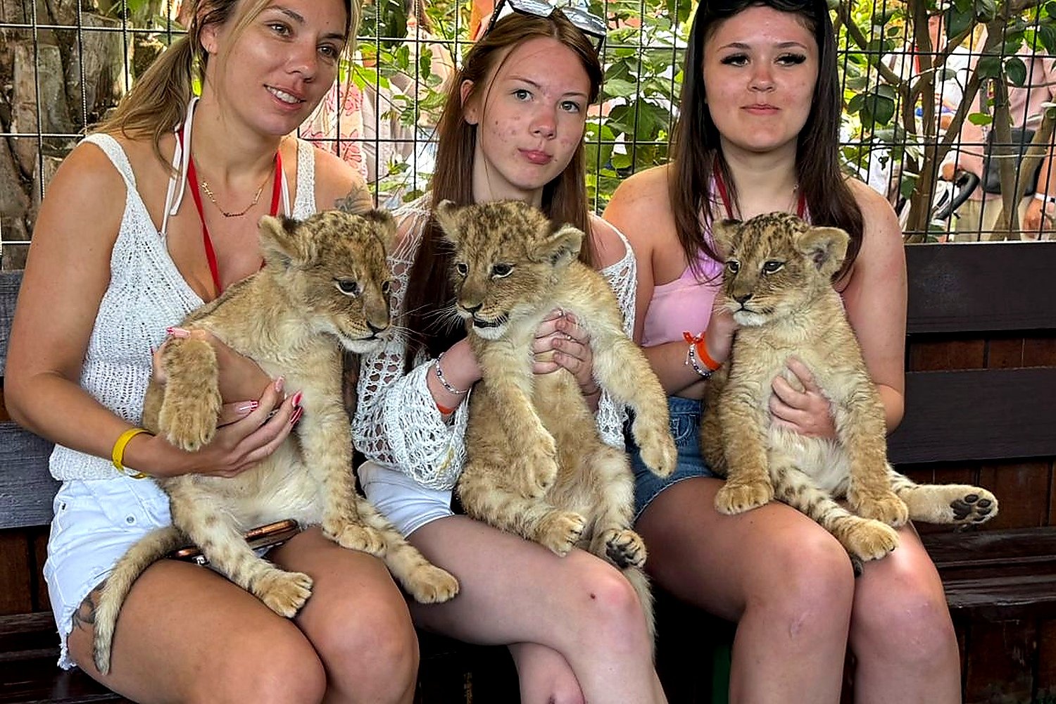 Green Canyon Safari & Lion Park Trip from Belek
