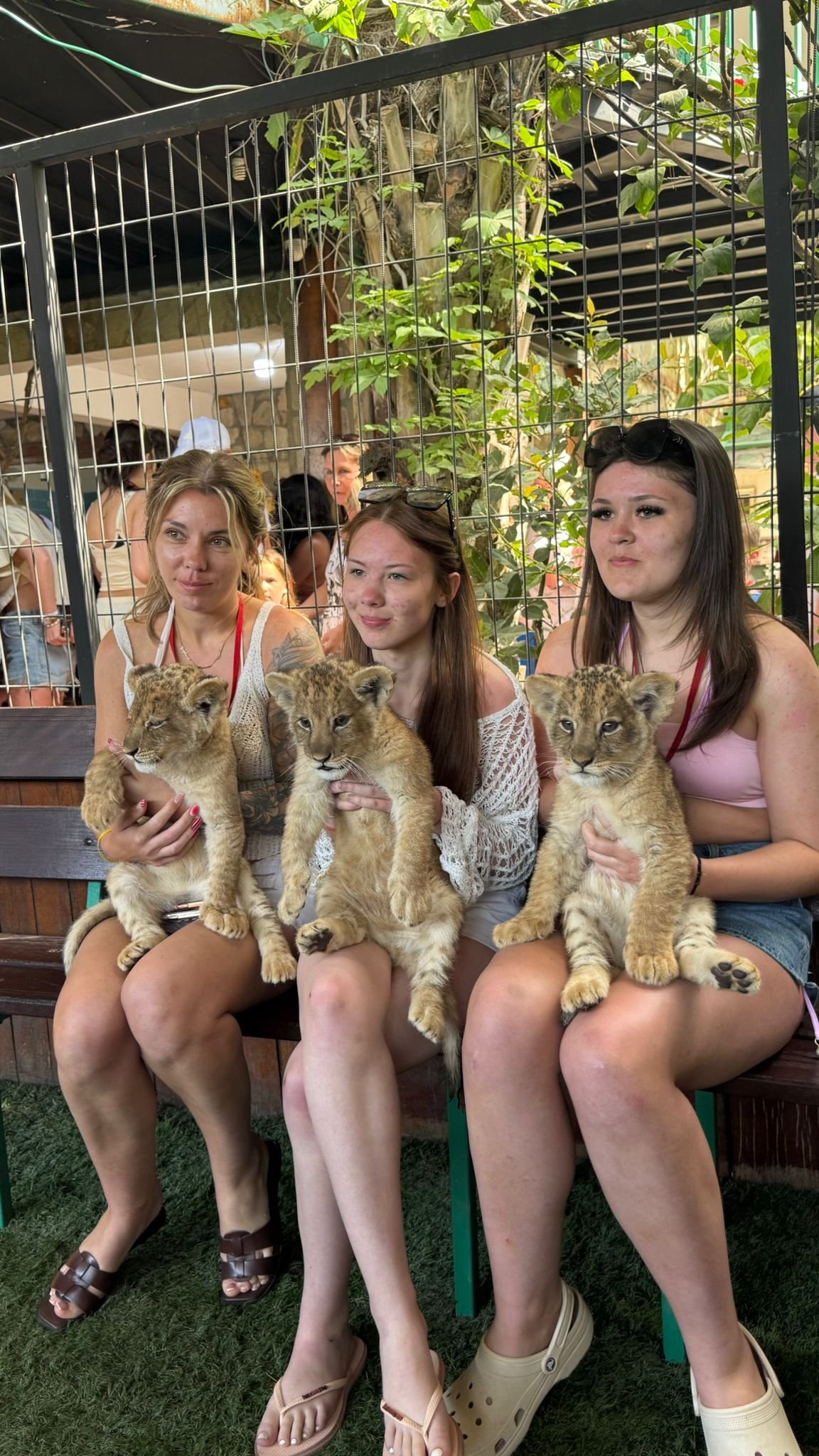 Private Lion Encounter & Zoo Experience From Alanya - Side Region