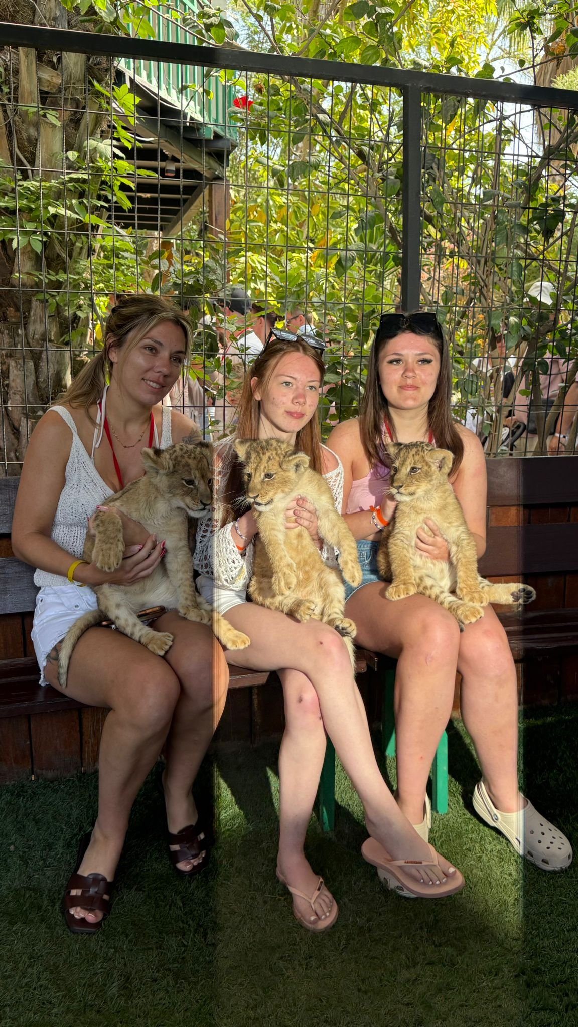 Private Lion Encounter & Zoo Experience From Alanya - Side Region